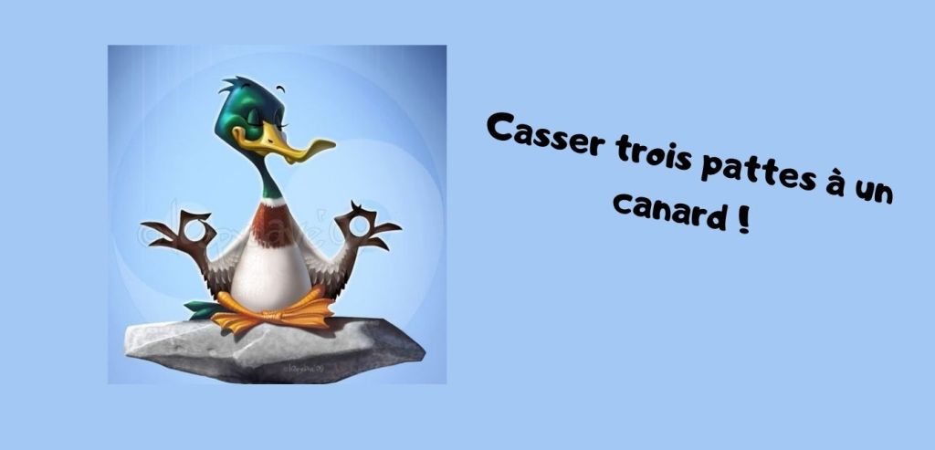 Casser trois pattes à un&nbsp;canard